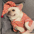 Clothes Dogs Cats Favs Teddy Schnauzer