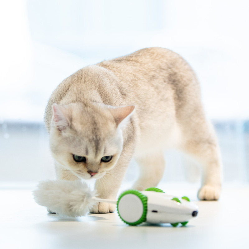 Mouse Cat Supplies Sound And Light Simulation