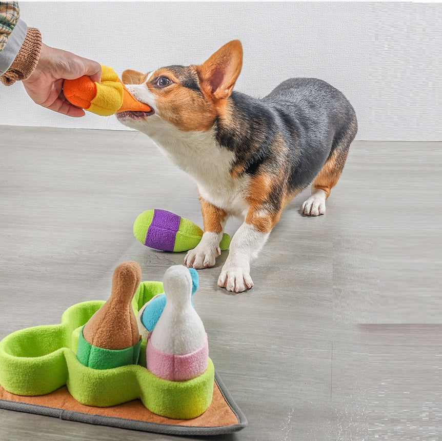 Pet Puzzle Play Tibetan Food Sports Training