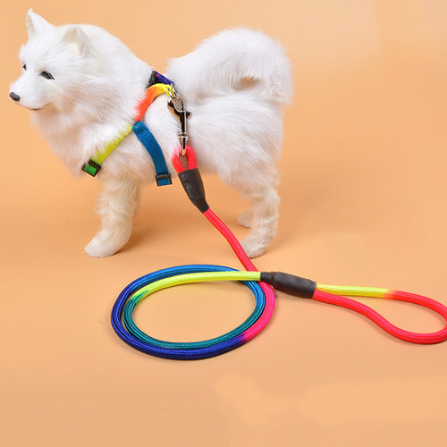 Colorful Nylon Round Hand Holding Dog Rope