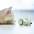 Mouse Cat Supplies Sound And Light Simulation