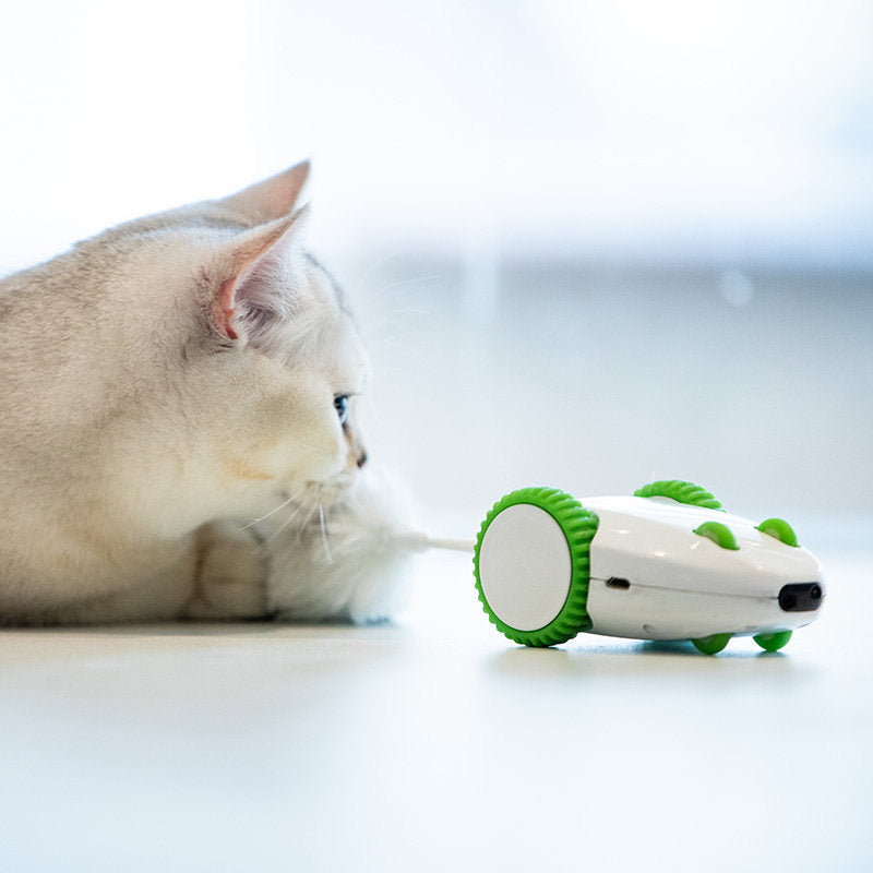Mouse Cat Supplies Sound And Light Simulation