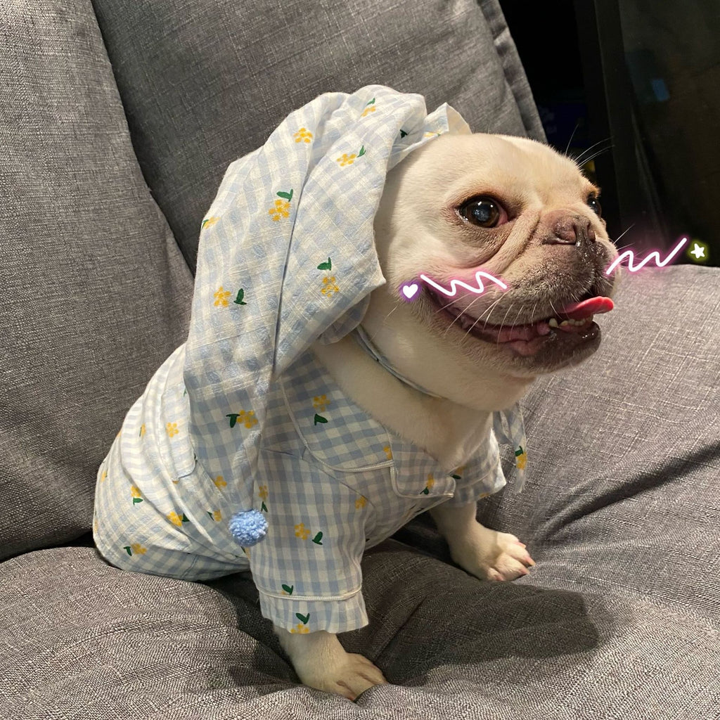 Clothes Dogs Cats Favs Teddy Schnauzer