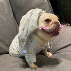 Clothes Dogs Cats Favs Teddy Schnauzer