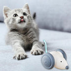 Interactive Electric Mouse Cat Toy