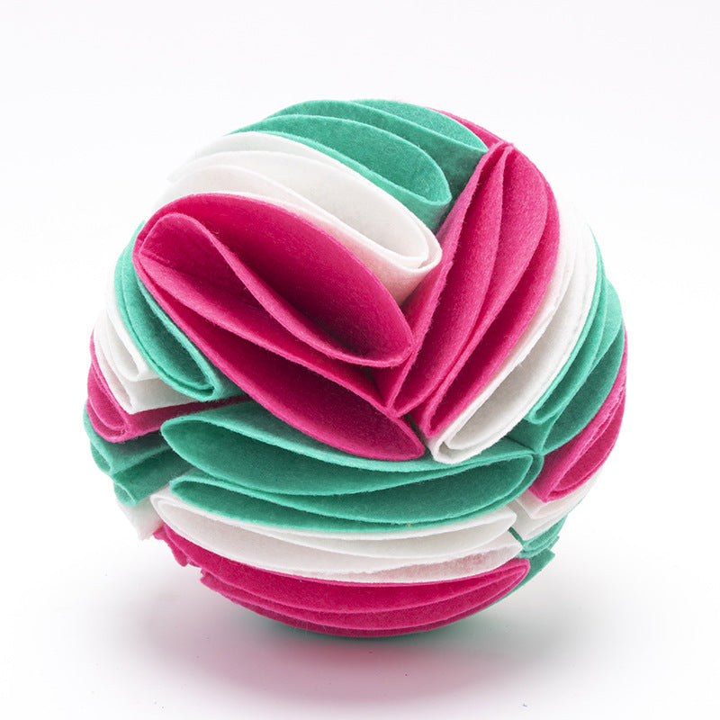 Pet Dogs Felt Cloth Sniffs The Ball