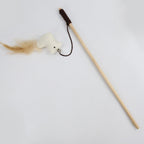 Colourful Feather Teaser Rod Cat Toy