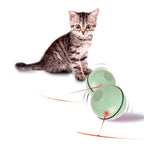 Usb Laser Funny Cat Toy