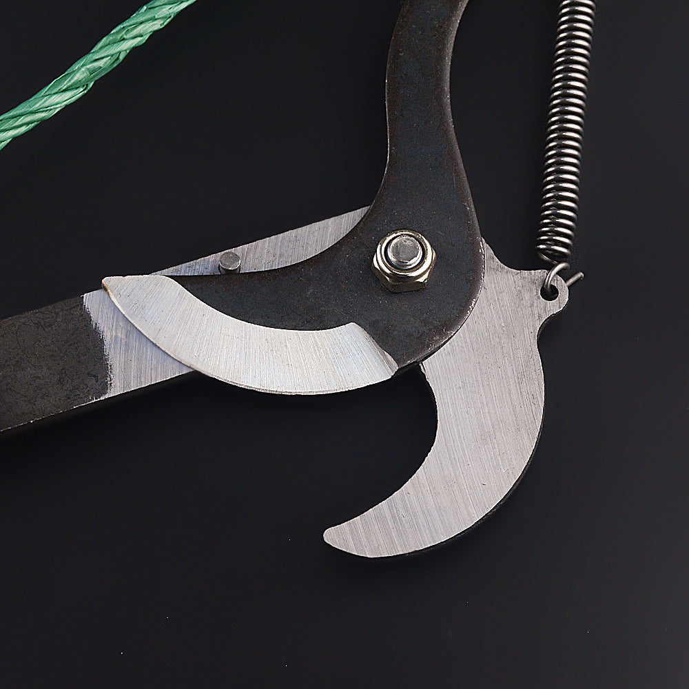 Telescopic Long-Reach Branch Pruning Shears