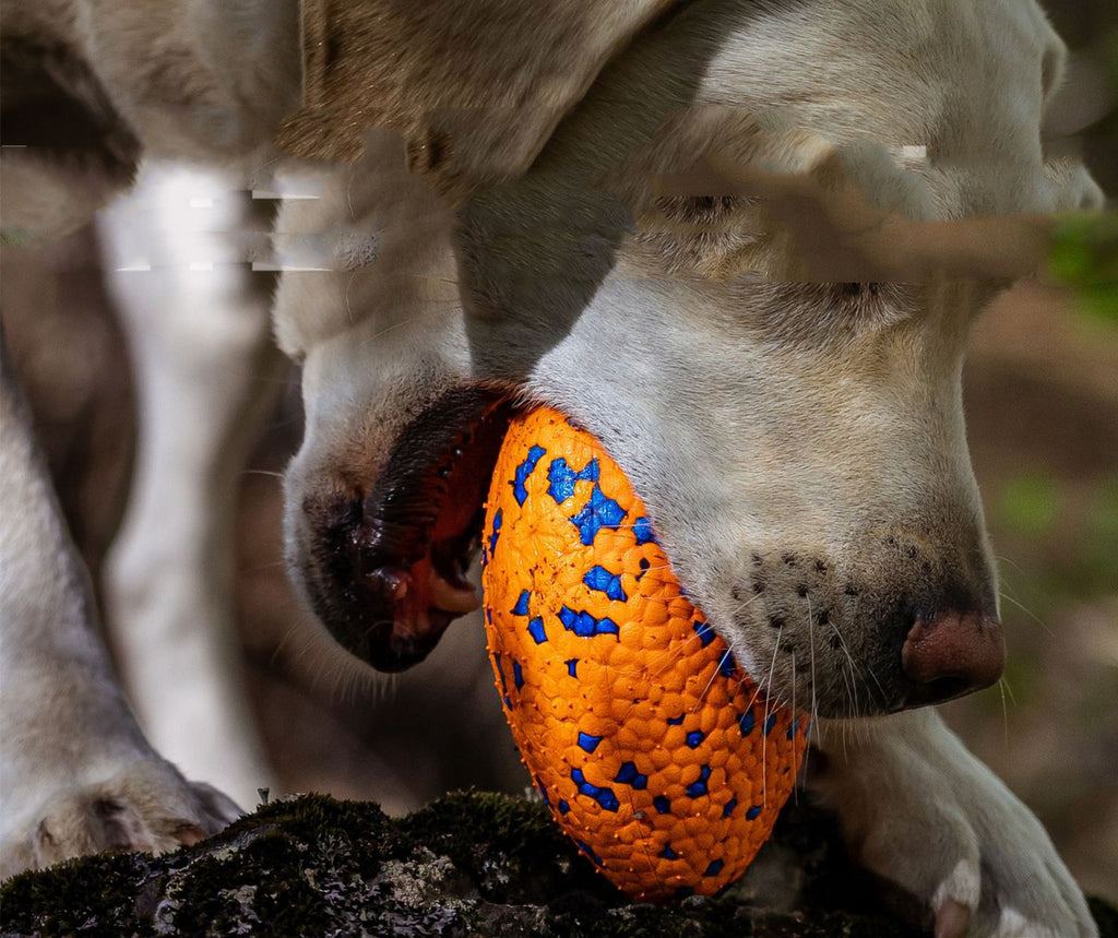 Teeth Resistant Pet Dog Chewing Toy Football