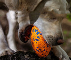 Teeth Resistant Pet Dog Chewing Toy Football