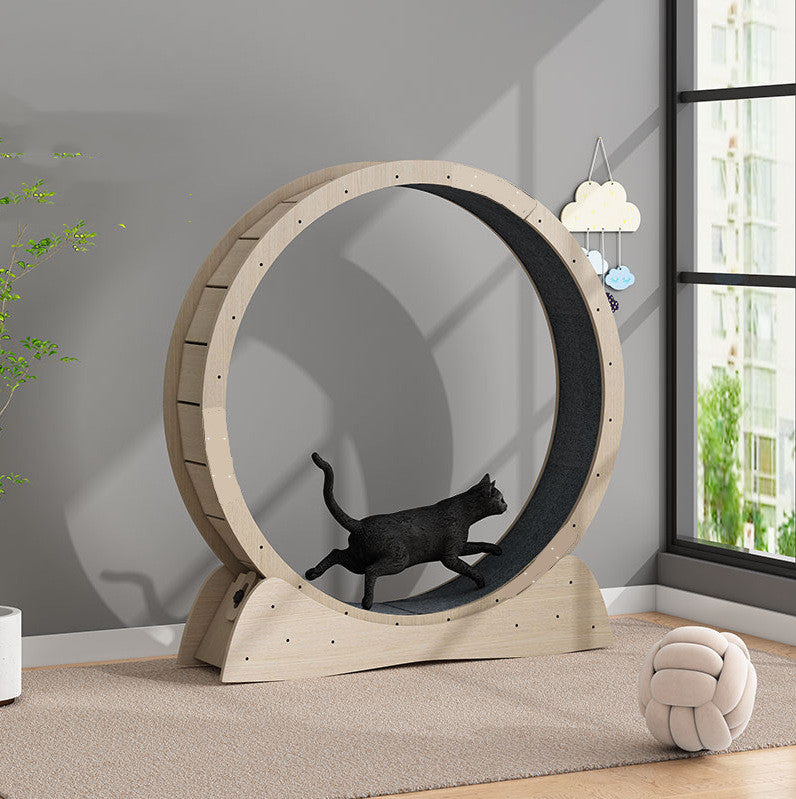 Cat Silent Treadmill Roller Large Weight Loss