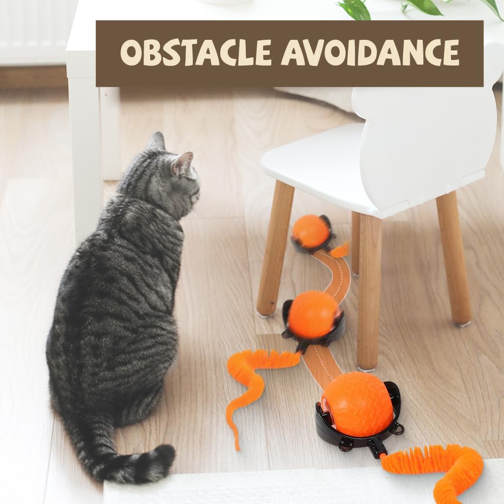 Interactive Cat Ball Toy