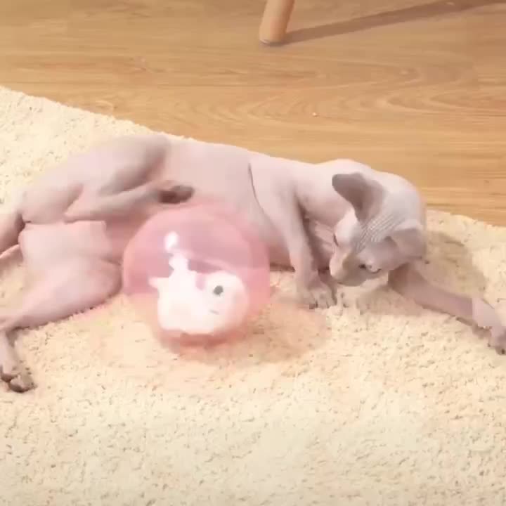 Simulated Hamster Rabbit Electric Rolling Ball Cat