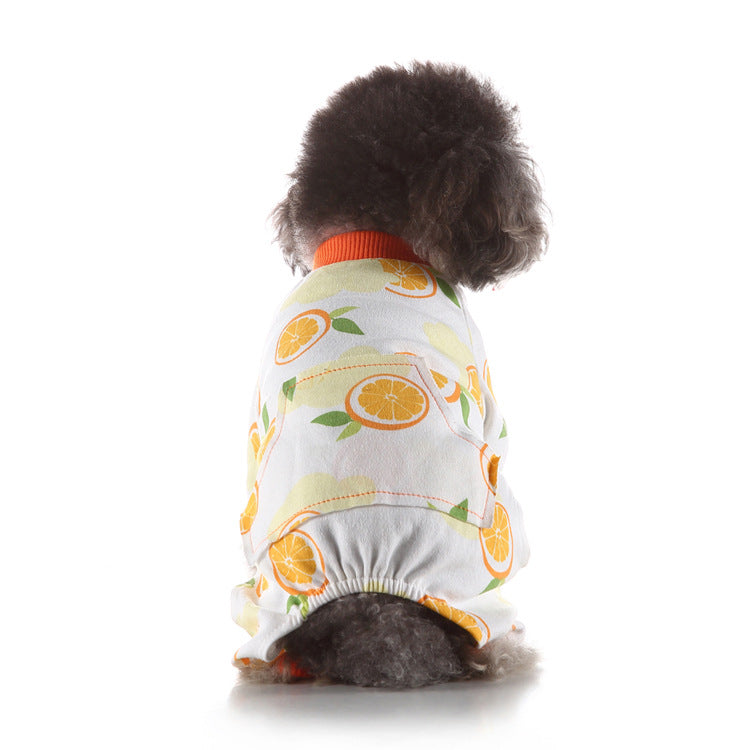 Pet Clothes Autumn And Winter At Home