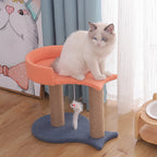 Cat Climbing Frame Cat Climbing Frame Cat