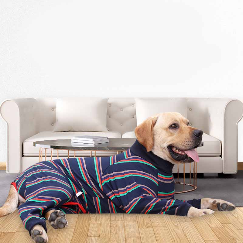 Fully Surrounded High Elastic Four Legged Dog