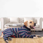 Fully Surrounded High Elastic Four Legged Dog
