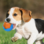 Dog Toy Ball Audible Glow Can Float