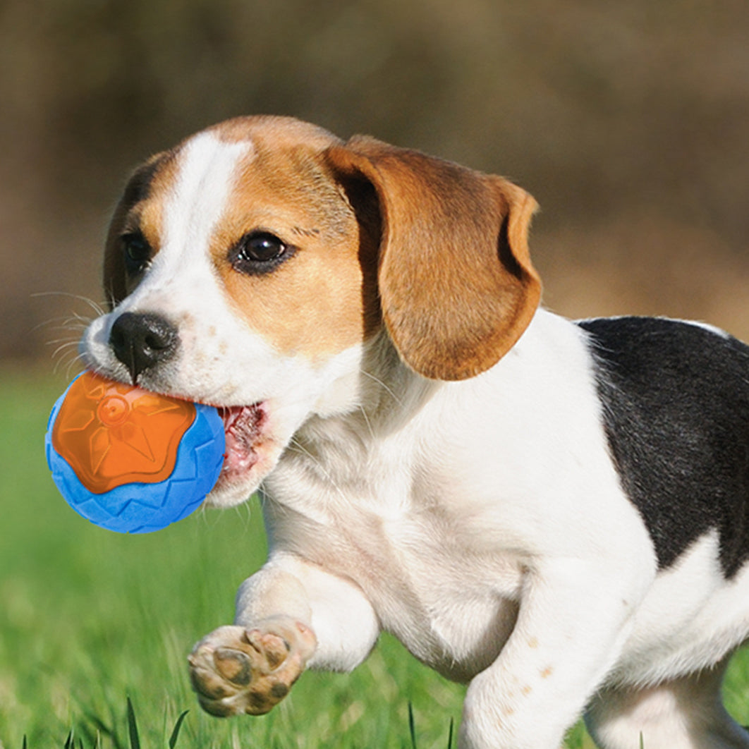 Dog Toy Ball Audible Glow Can Float