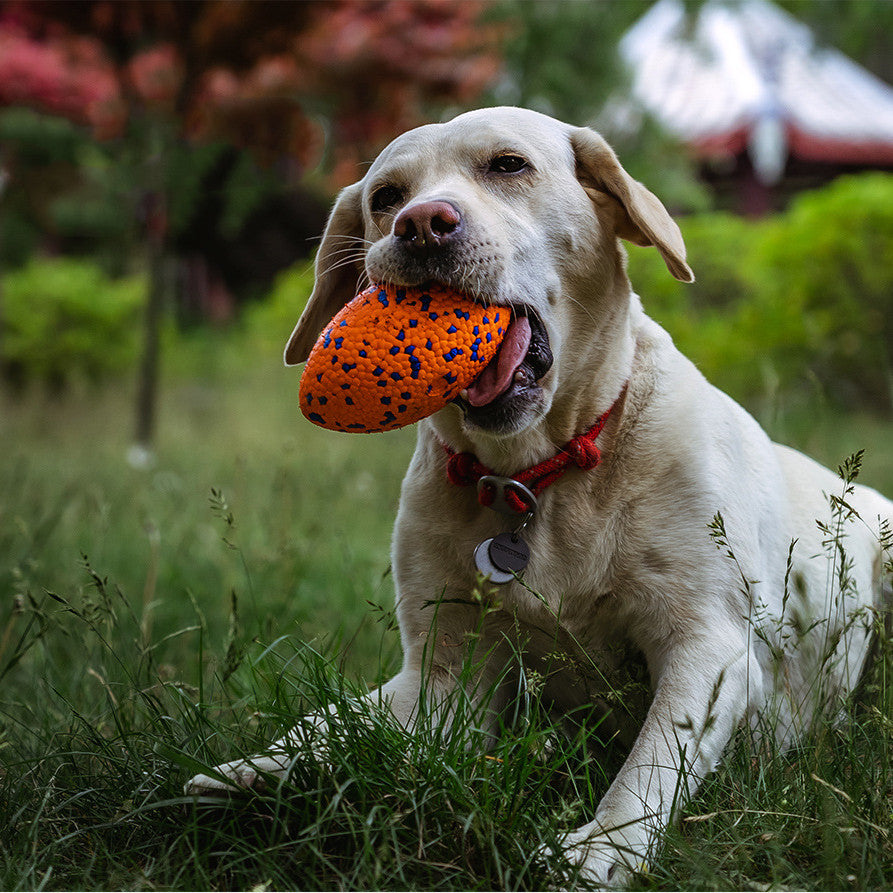 Teeth Resistant Pet Dog Chewing Toy Football