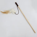 Colourful Feather Teaser Rod Cat Toy