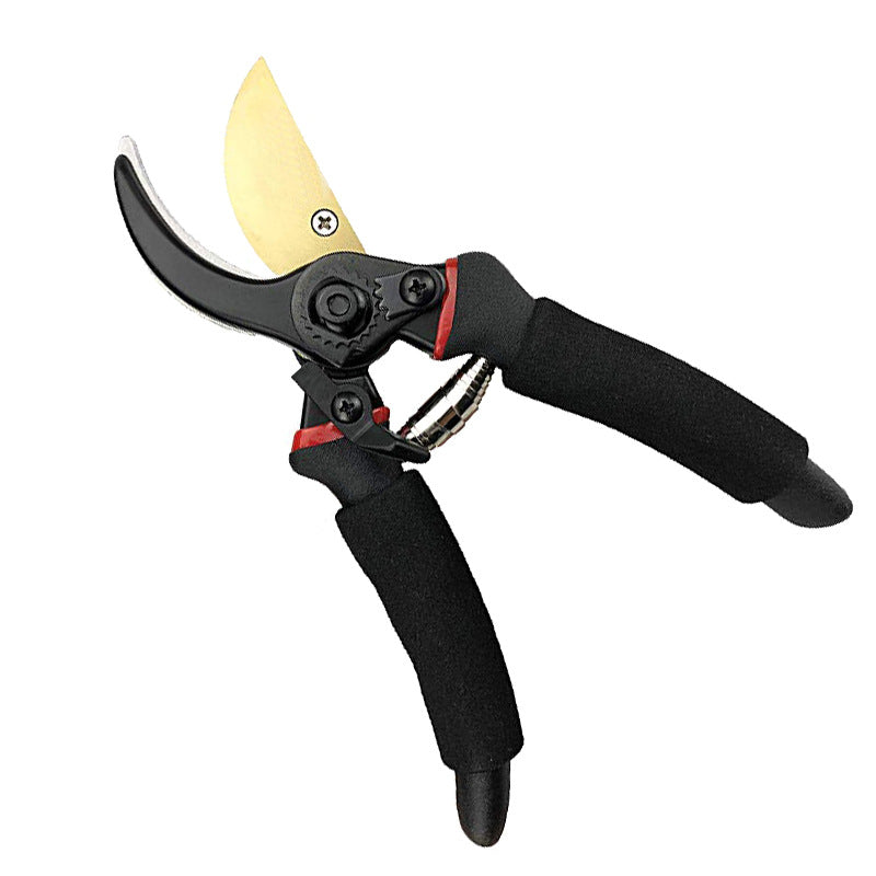Professional Garden Pruning Shears