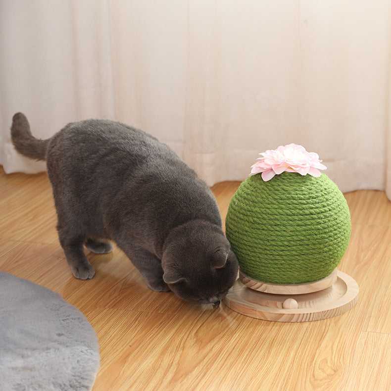 Cat Grinding Paw Toy