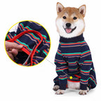 Fully Surrounded High Elastic Four Legged Dog