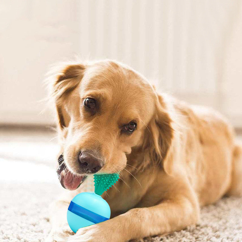 Pet Does Not Fall Down The Leakage