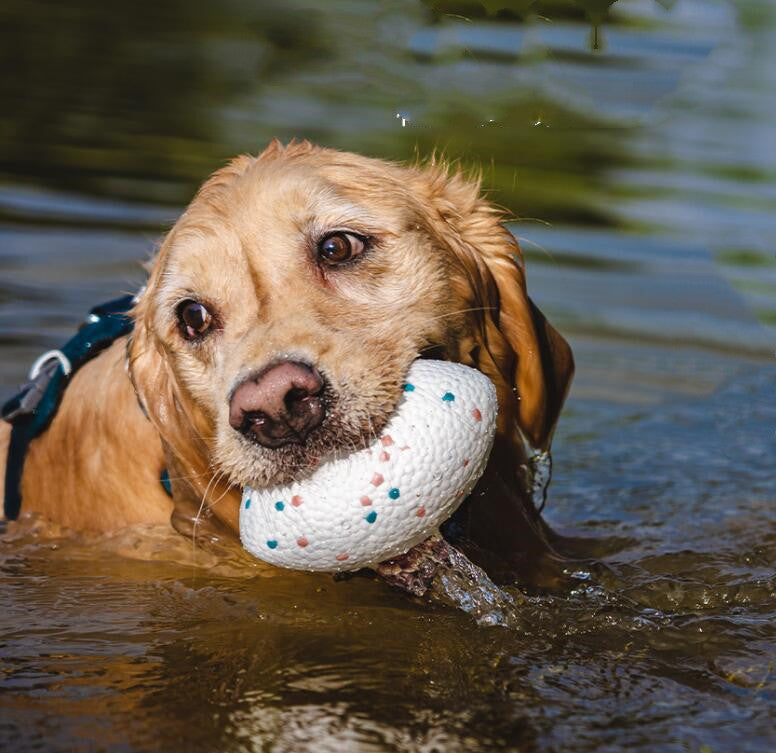 Teeth Resistant Pet Dog Chewing Toy Football