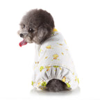 Pet Clothes Autumn And Winter At Home