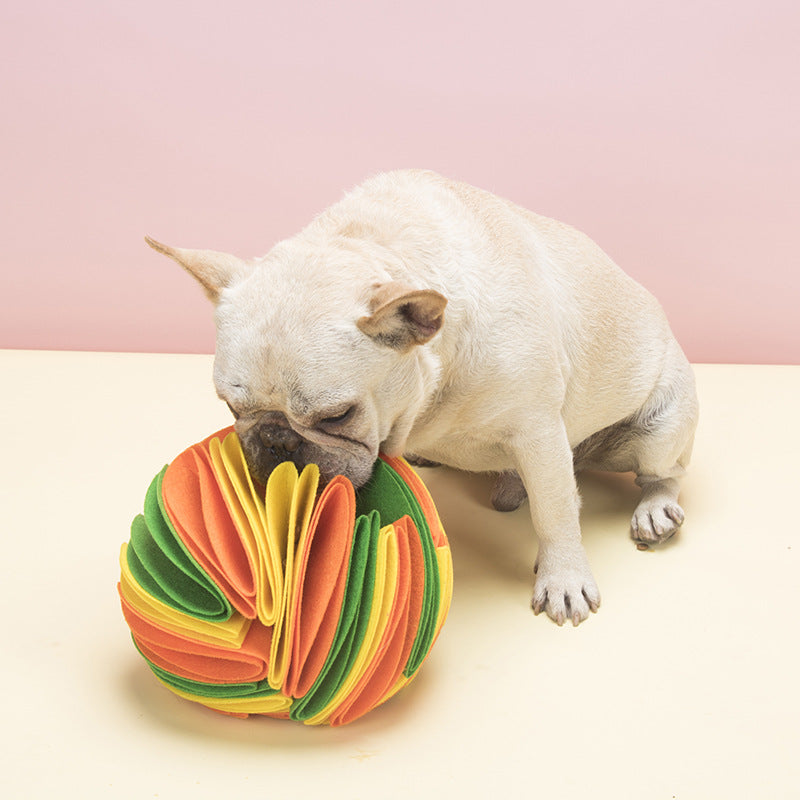 Pet Dogs Felt Cloth Sniffs The Ball