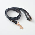 Pet Leash Dog Leash Dog Collar Dog